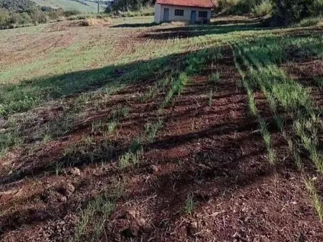 Sítio / Chácara para Venda em Abatiá/PR Zona Rural