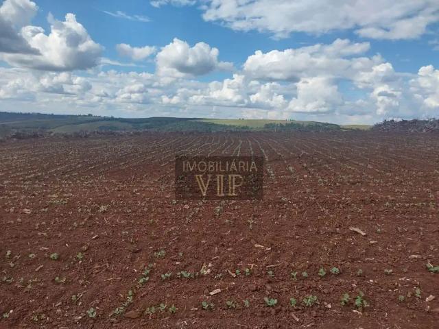 Sítio / Chácara para Venda em Abatiá/PR Zona Rural 1 Quartos