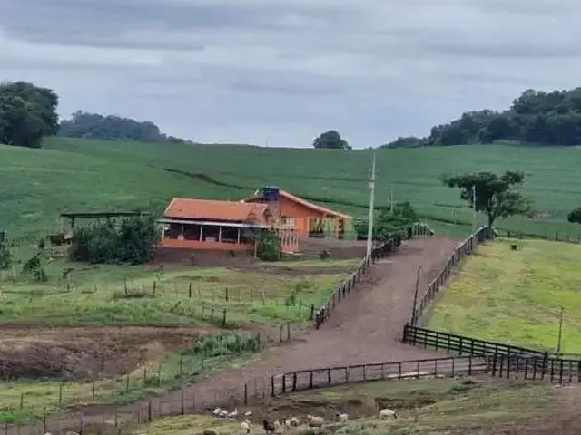 Sítio / Chácara para Venda em Santa Amélia/PR Zona Rural 1 Quartos