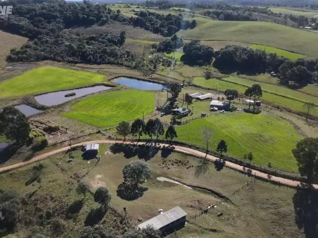 Sítio / Chácara para Venda em Abelardo Luz/SC Zona Rural