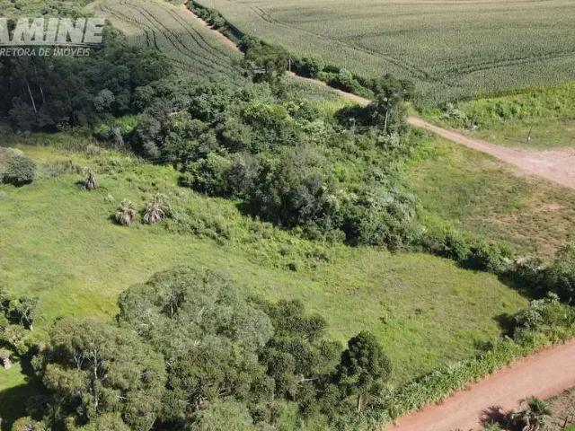 Sítio / Chácara para Venda em Abelardo Luz/SC Zona Rural