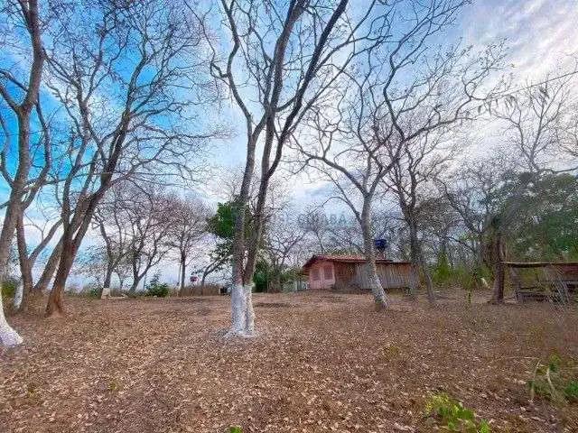 Sítio / Chácara para Venda em Acorizal/MT Zona Rural 2 Quartos
