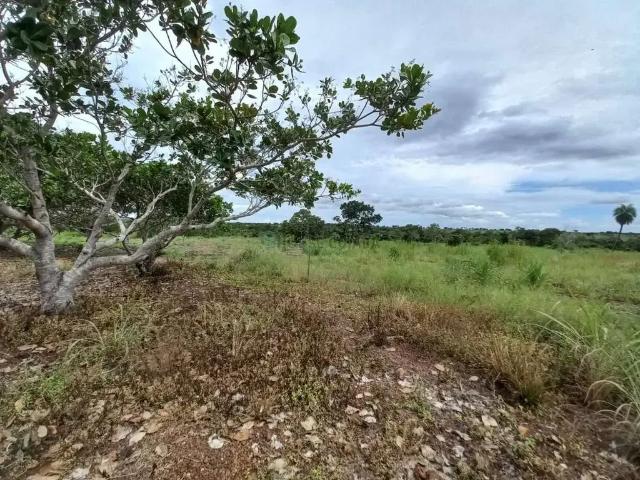 Sítio / Chácara para Venda em Acorizal/MT Zona Rural 2 Quartos
