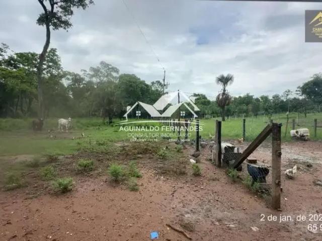 Sítio / Chácara para Venda em Acorizal/MT Zona Rural 3 Quartos