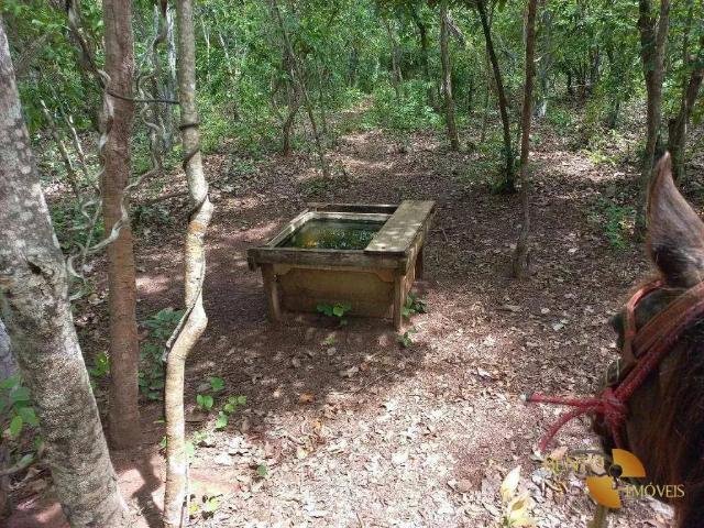 Sítio / Chácara para Venda em Acorizal/MT Zona Rural