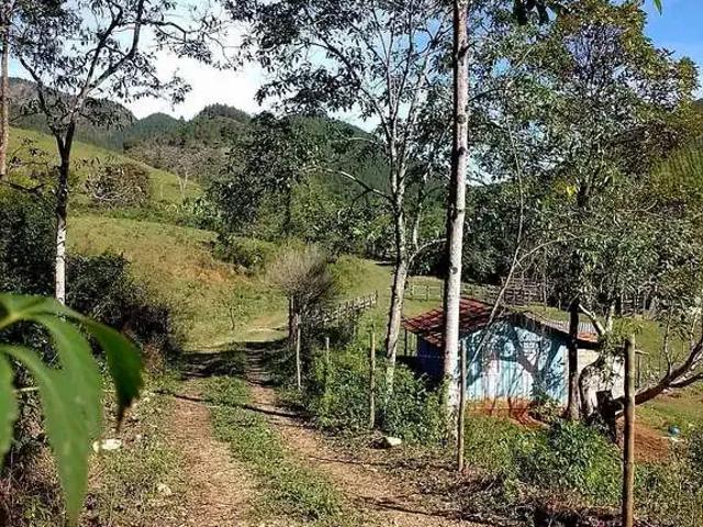 Sítio / Chácara para Venda em Adrianópolis/PR Zona Rural 1 Quartos