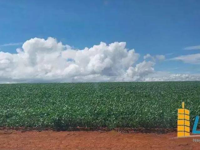 Sítio / Chácara para Venda em Água Fria de Goiás/GO Zona Rural