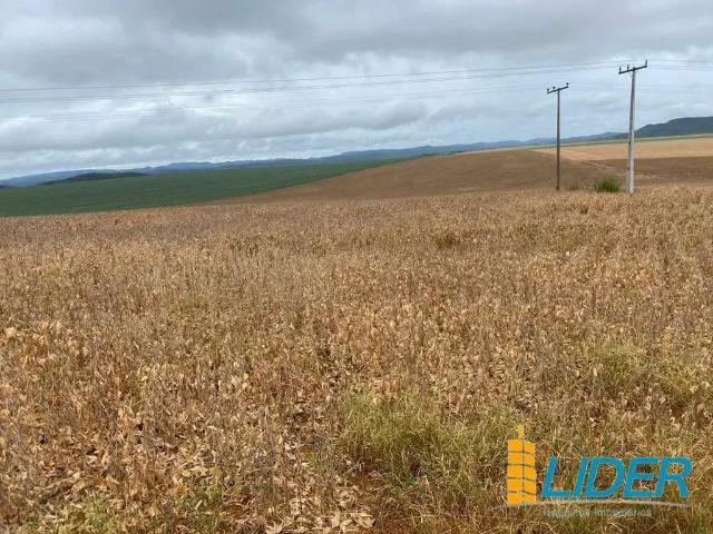 Sítio / Chácara para Venda em Água Fria de Goiás/GO Zona Rural