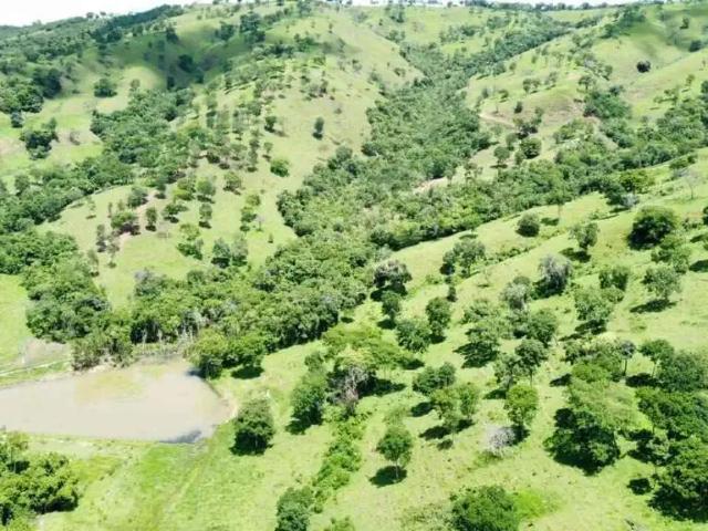 Sítio / Chácara para Venda em Água Limpa/GO Área Rural de Água Limpa