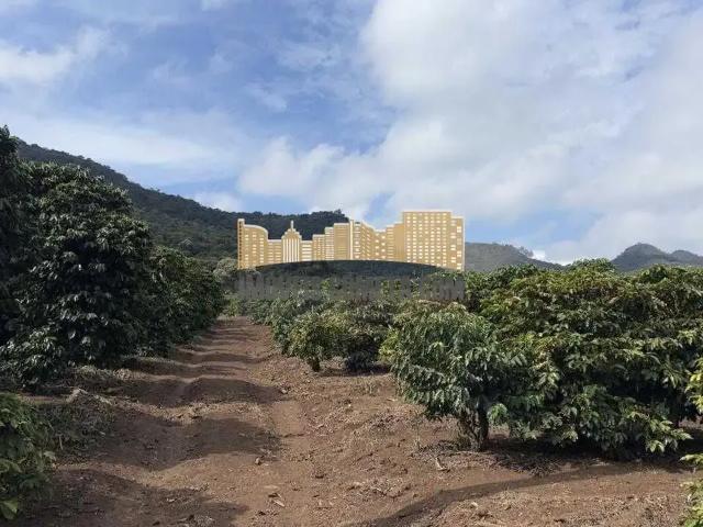 Sítio / Chácara para Venda em Águas da Prata/SP Zona Rural 3 Quartos