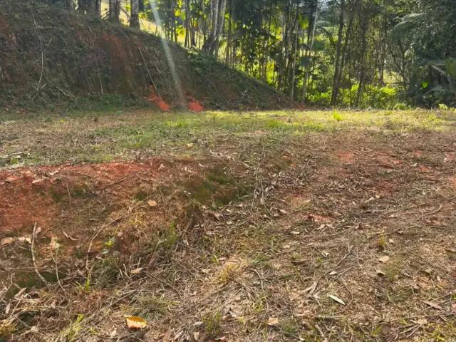 Sítio / Chácara para Venda em Águas Mornas/SC Colônia Santa Isabel