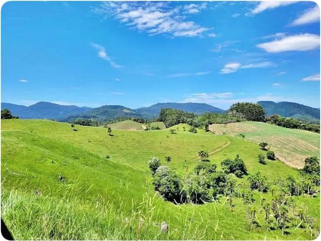 Sítio / Chácara para Venda em Águas Mornas/SC Estrada Rio Do Cedro 1 Quartos