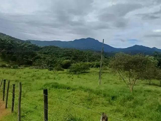 Sítio / Chácara para Venda em Águas Mornas/SC Vargem Grande