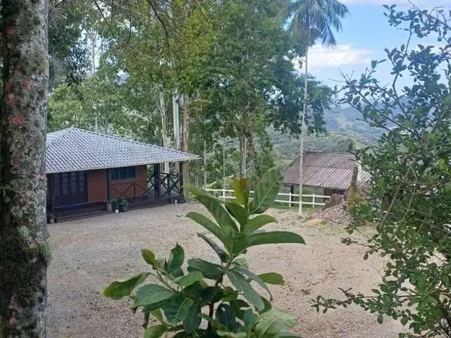 Sítio / Chácara para Venda em Águas Mornas/SC Vargem Grande 4 Quartos