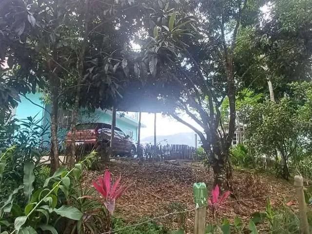 Sítio / Chácara para Venda em Águas Mornas/SC Vargem Grande