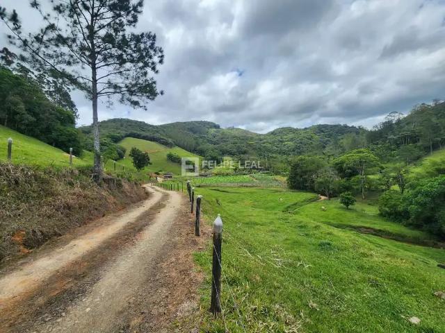Sítio / Chácara para Venda em Águas Mornas/SC Vargem Grande 2 Quartos