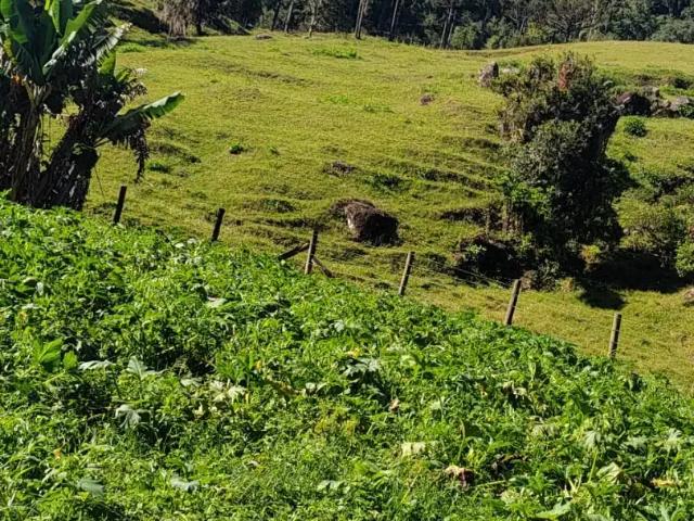 Sítio / Chácara para Venda em Águas Mornas/SC Zona Rural