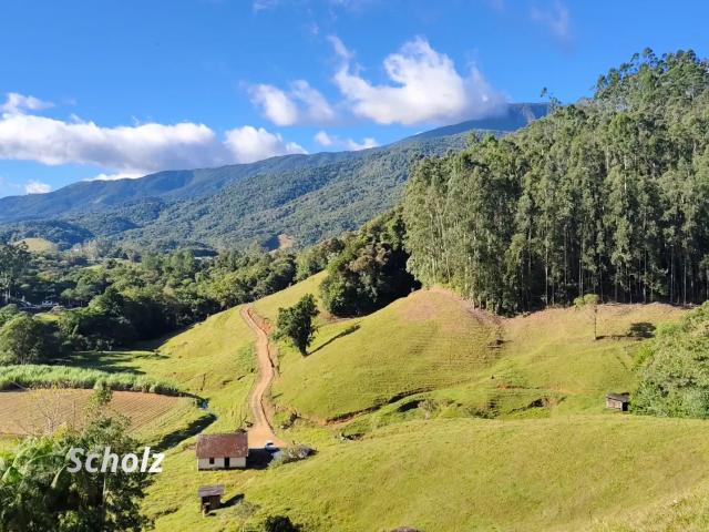 Sítio / Chácara para Venda em Águas Mornas/SC Zona Rural