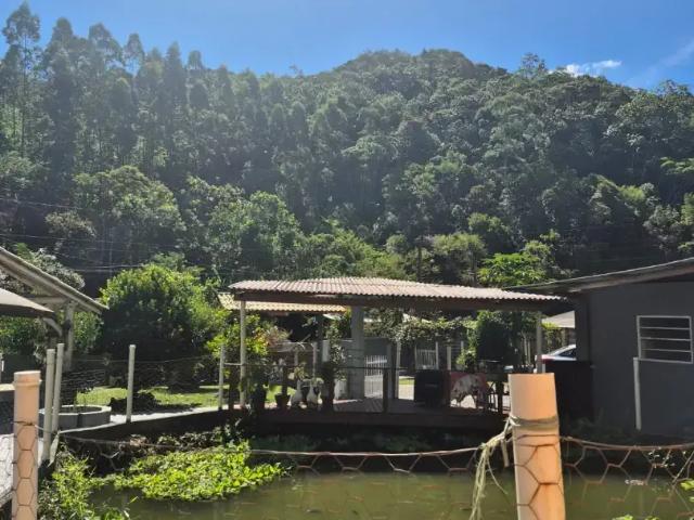Sítio / Chácara para Venda em Águas Mornas/SC Zona Rural 3 Quartos