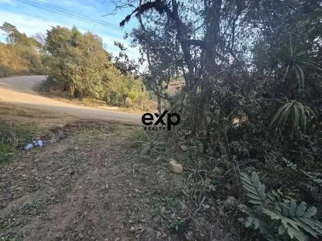 Sítio / Chácara para Venda em Agudos do Sul/PR Papanduva 1 Quartos