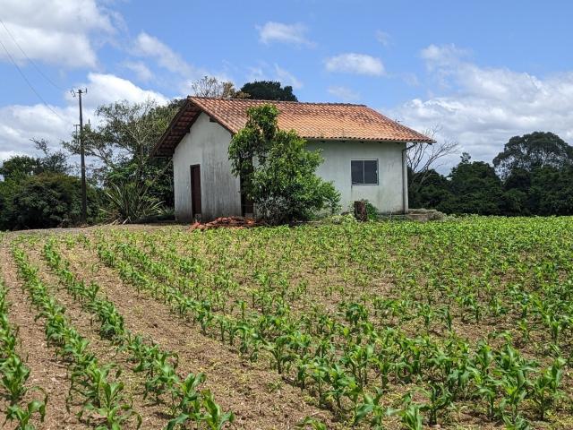 Sítio / Chácara para Venda em Agronômica/SC Mosquito 2 Quartos