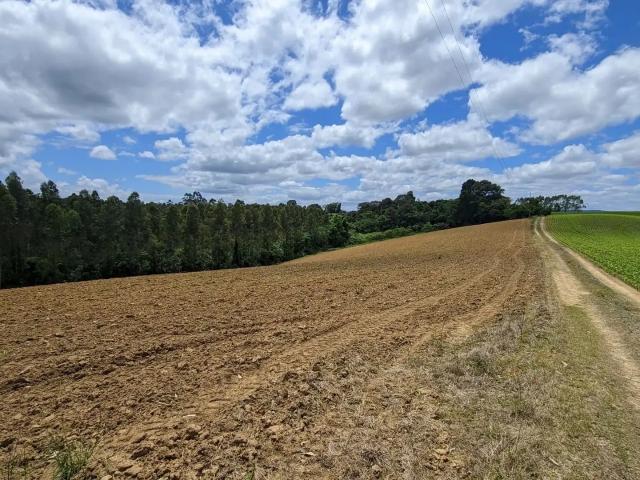 Sítio / Chácara para Venda em Agronômica/SC Zona Rural 2 Quartos