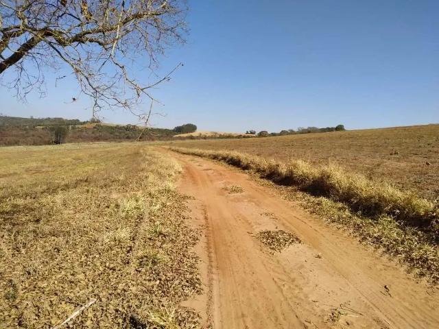 Sítio / Chácara para Venda em Altinópolis/SP Zona Rural
