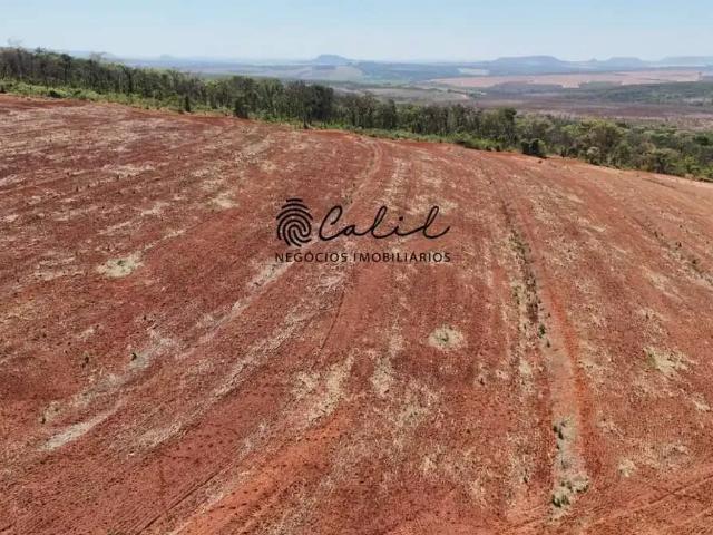 Sítio / Chácara para Venda em Altinópolis/SP Centro 1 Quartos
