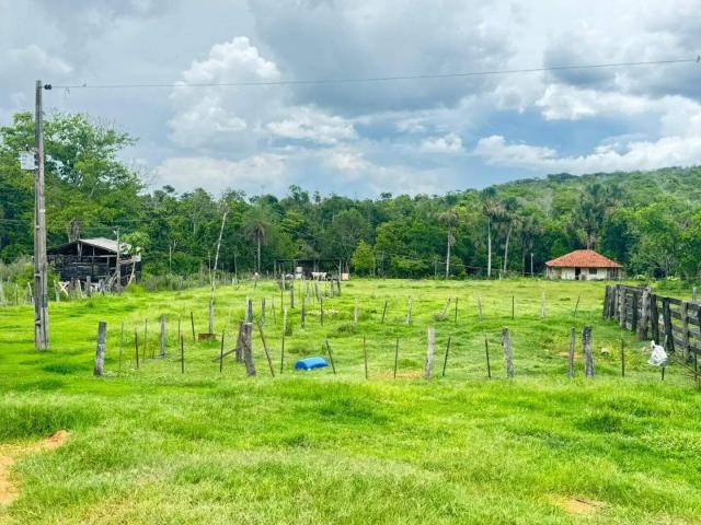 Sítio / Chácara para Venda em Alto Araguaia/MT Centro