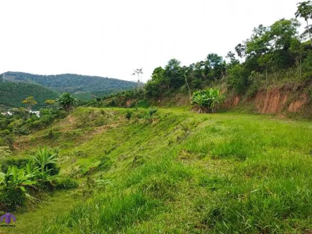 Sítio / Chácara para Venda em Alto Caparaó/MG Centro