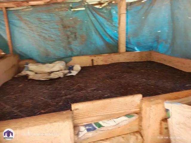 Sítio / Chácara para Venda em Alto Caparaó/MG Zona Rural