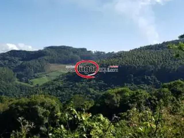 Sítio / Chácara para Venda em Alto Feliz/RS Zona Rural