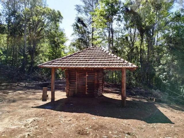 Sítio / Chácara para Venda em Alto Feliz/RS Zona Rural