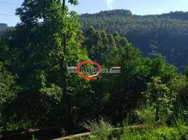 Sítio / Chácara para Venda em Alto Feliz/RS Zona Rural