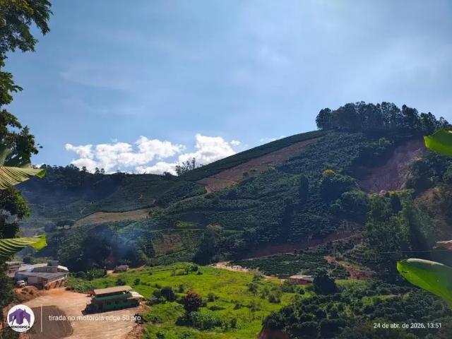 Sítio / Chácara para Venda em Alto Jequitibá/MG Área Rural de Alto Jequitibá