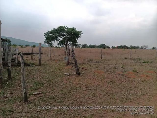 Sítio / Chácara para Venda em Alto Paraguai/MT Zona Rural 3 Quartos