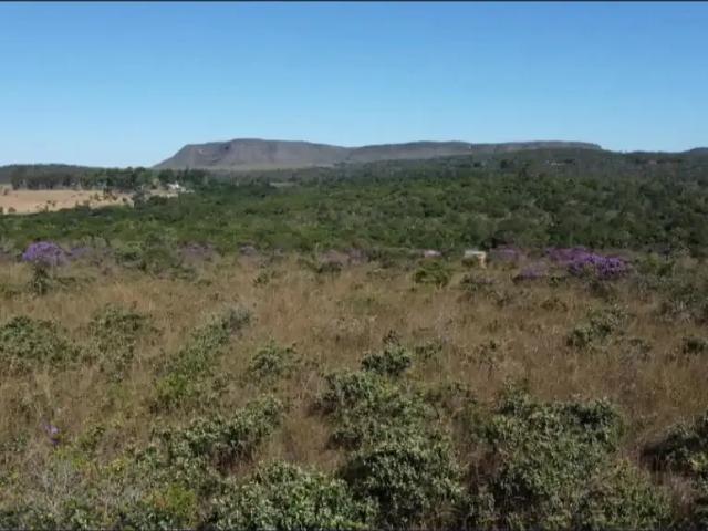 Sítio / Chácara para Venda em Alto Paraíso de Goiás/GO Zona Rural