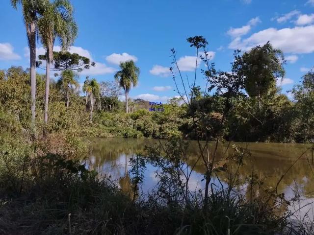 Sítio / Chácara para Venda em Alto Paraná/PR Zona Rural 1 Quartos
