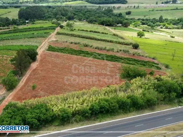 Sítio / Chácara para Venda em Alto Paraná/PR Zona Rural