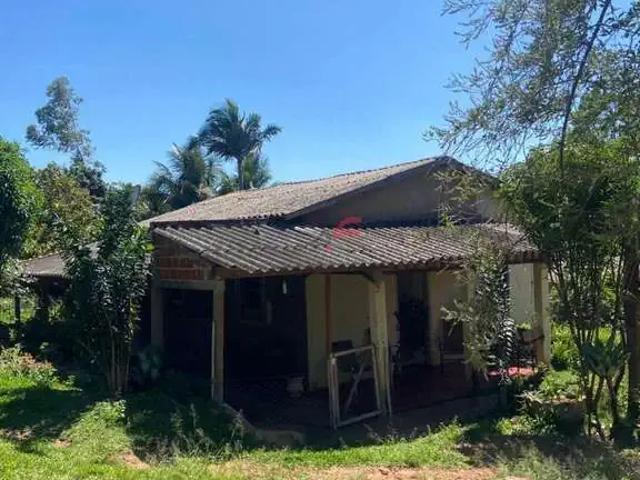 Sítio / Chácara para Venda em Alto Paraná/PR Zona Rural