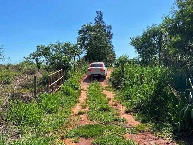 Sítio / Chácara para Venda em Alto Paraná/PR Área Rural