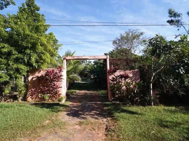 Sítio / Chácara para Venda em Álvares Machado/SP Residencial Arthur Boigues 3 Quartos