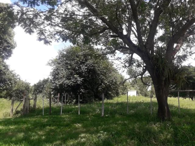 Sítio / Chácara para Venda em Alvinlândia/SP Zona Rural