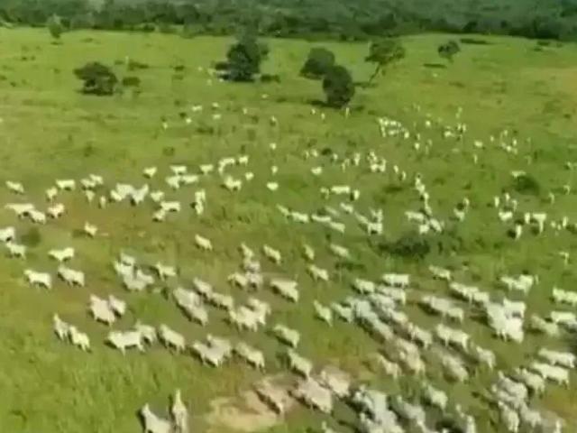 Sítio / Chácara para Venda em Alvorada do Norte/GO Zona Rural