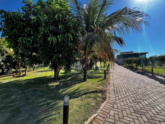 Sítio / Chácara para Venda em Alvorada do Sul/PR Condomínio Riviera do Nascente 3 Quartos