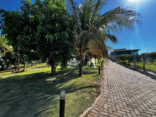 Sítio / Chácara para Venda em Alvorada do Sul/PR Condomínio Riviera do Nascente 3 Quartos