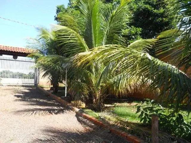 Sítio / Chácara para Venda em Alvorada do Sul/PR Centro 2 Quartos