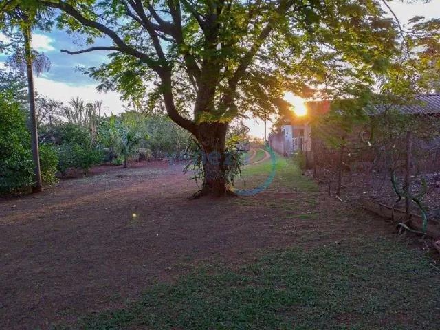 Sítio / Chácara para Venda em Alvorada do Sul/PR Centro 3 Quartos