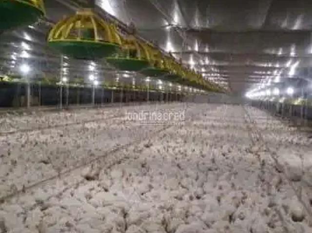 Sítio / Chácara para Venda em Alvorada do Sul/PR Centro
