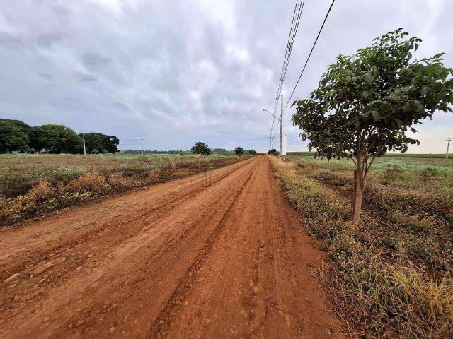 Sítio / Chácara para Venda em Alvorada do Sul/PR Centro